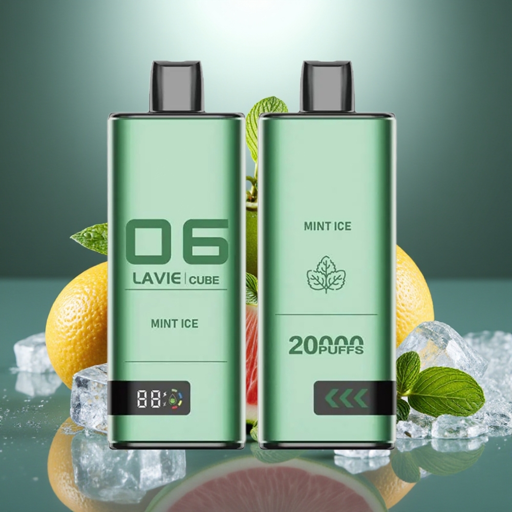 Lavie Cube 20000 Puffs Disposable Vape Mint Ice 28ML Type C
