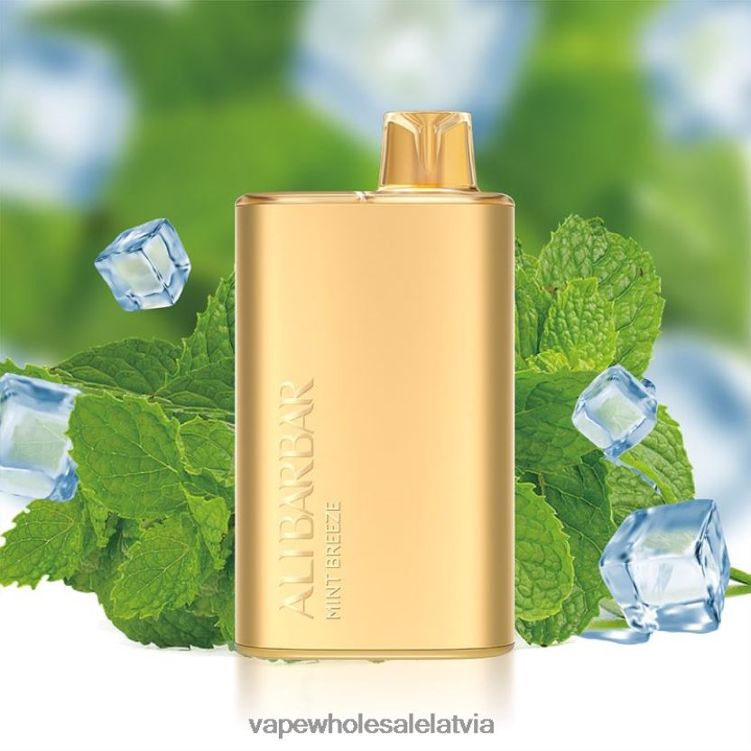Vape Wholesale Supplies - Alibarbar Rich 8000 vienreizējās lietošanas vape piparmētru brīze ZLD8PH8