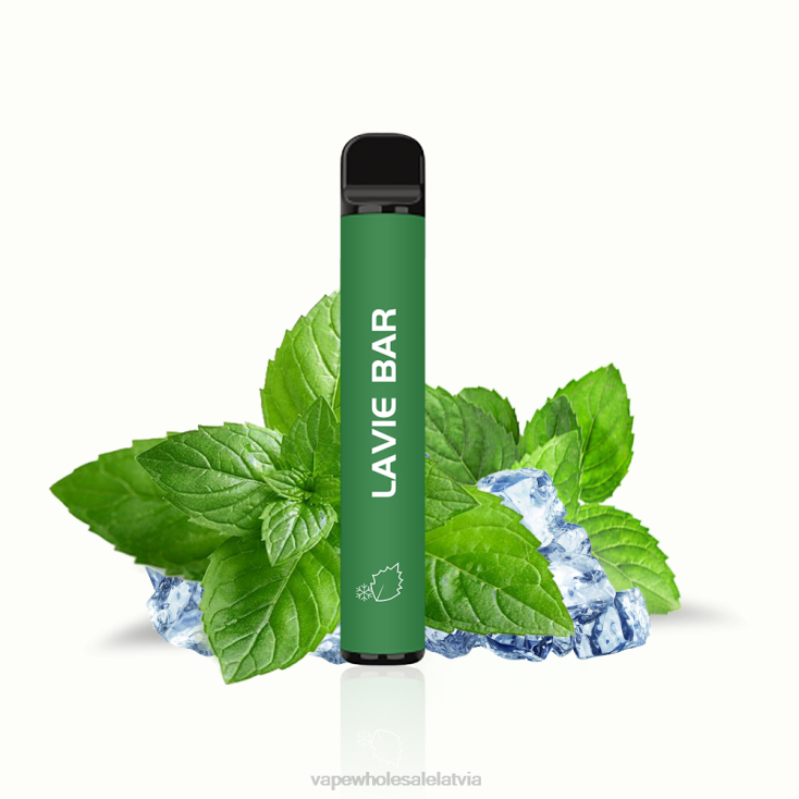 forša piparmētra