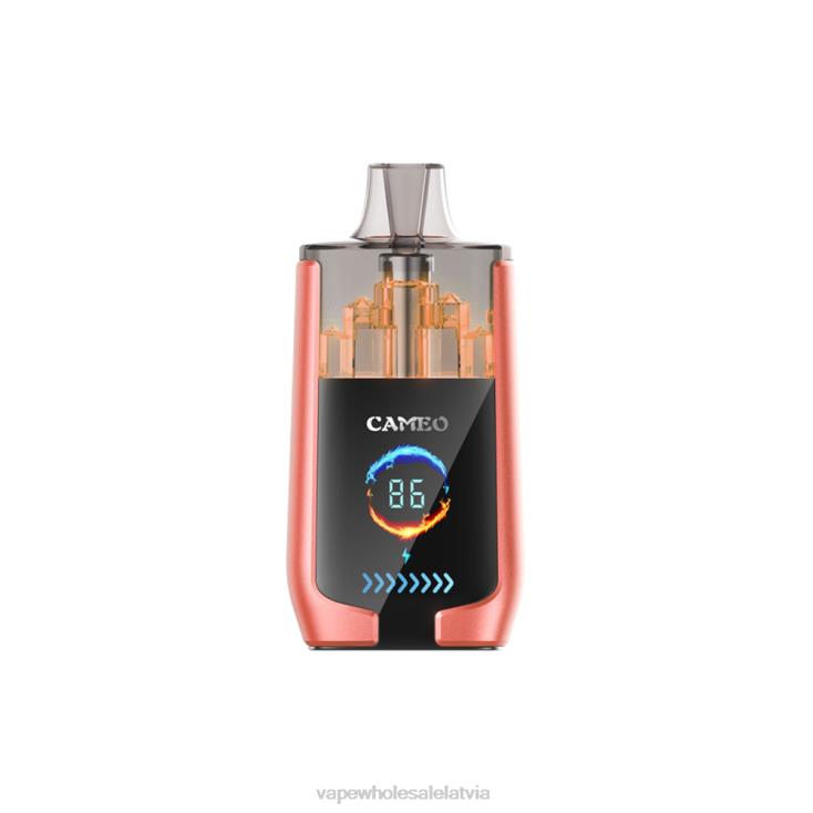 Electronic Cigarette Wholesale Price - zemeņu arbūzs LAVIE CAMEO 30000 uzpūtienu H8B0J24