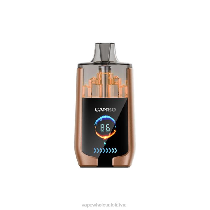 Vienreizējās Lietošanas Vape - kafijas ledus LAVIE CAMEO 30000 uzpūtienu H8B0J18