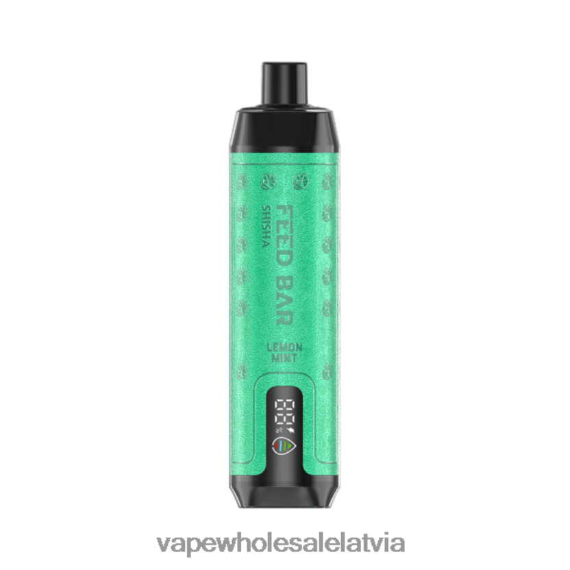 Elektroniskā Cigarete Salt - Vapsolo SHISHA vienreizējās lietošanas vape citronu piparmētra ZLD8PH101